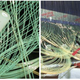 Illustration for article titled Build Your Own Large Hadron Collider in 1.62 x 10^28 Easy Steps